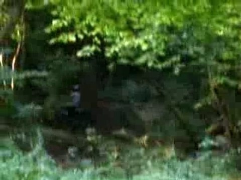 Dirt bike pit bike 2