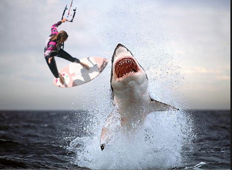 Extreme animal attacks on humans  [ WATER EDITION ]