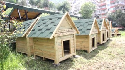 Mahkumların Yaptığı Barınaklar Sokak Hayvanlarına Yuva Oldu