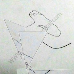How to Draw a Hammerhead Shark In 9 Steps