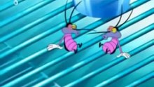 Oggy and the cockroaches in hindi new episode 2012 2013 cartoon network naw new YouTube