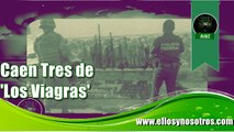 SEDENA y PF detienen a 3 de 'Los Viagras' en San Miguel Totolapan y Petacalco