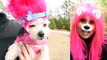 Trolls Puppy Makeover (Poppy, eamworks New Movie