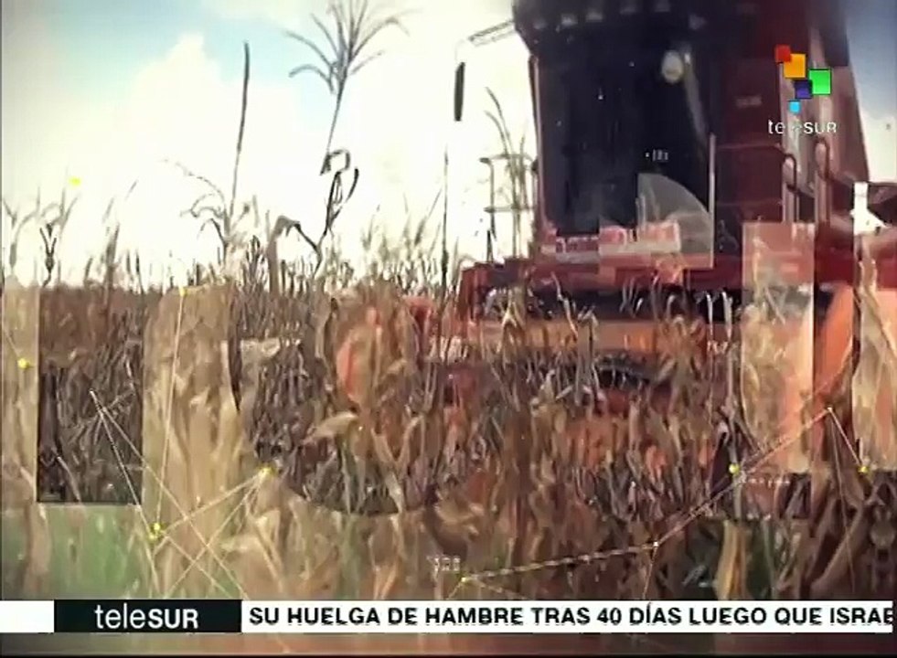 El Hato el Cedral, refugio de 360 especies de animales de Venezuela