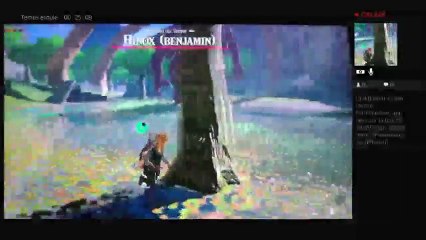 The Legend Of Zelda Breath of the Wild Wii u (10)