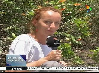 Venezuela posee la reserva de aves más grande de América Latina