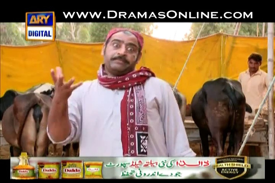 Bulbulay full