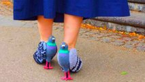 Japanese Woman Walking In Pigeon Shoes