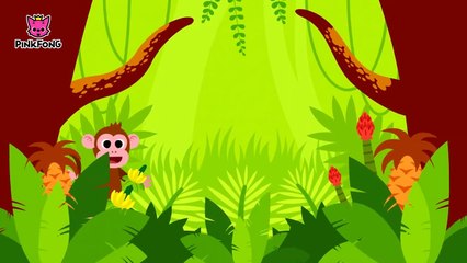 Animales, Animales _ Animales _ PINKFONG