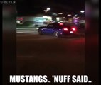 MUSTANGS ATTACK CROWDS AGAIN! Two Mustangs meet their demise at a local car meet in Phx Az