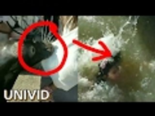 Sea Lion Drags Girl In The Water