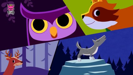 밤이 좋아 _ 동물동요 _ 핑크퐁! 인기동�