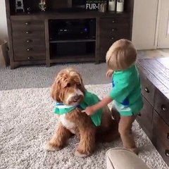 Kid gets his dog ready for photoshoot