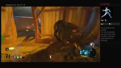 OhPleaseNo's No quick revive high round attempt