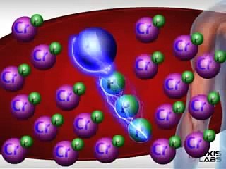 Creatine Muscle Builder Review