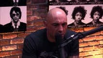 Joe Rogan and Gavin McInnes on Milo Yiannopou