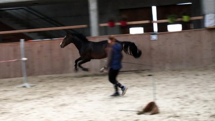 coppola saut en lib 5 ans