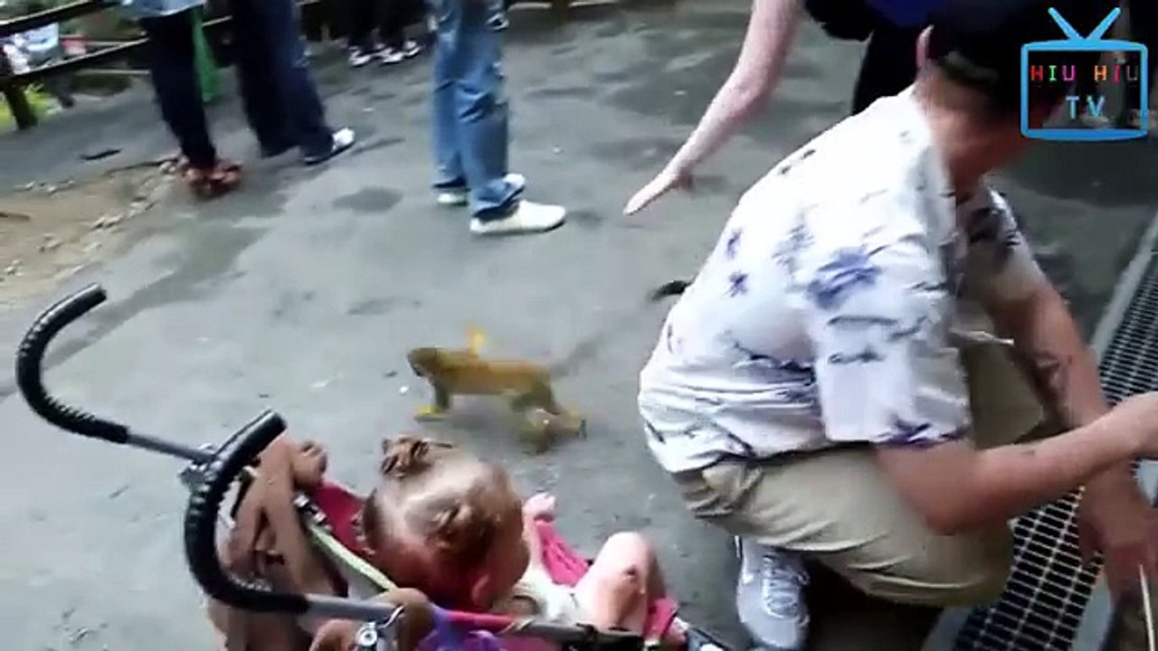 Monkey Funny Scene | Comedy Scene | Jawab Hum Denge | Jackie Shroff, Shatrughan Sinha, Sridevi | HD