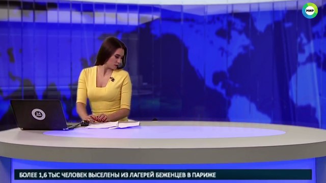 Russie: Une présentatrice interrompue en plein journal télévisé par ... un labrador très joueur !