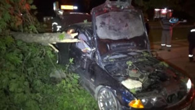 Refüje Çıkan Otomobil Ağaçlara Çarparak Durabildi