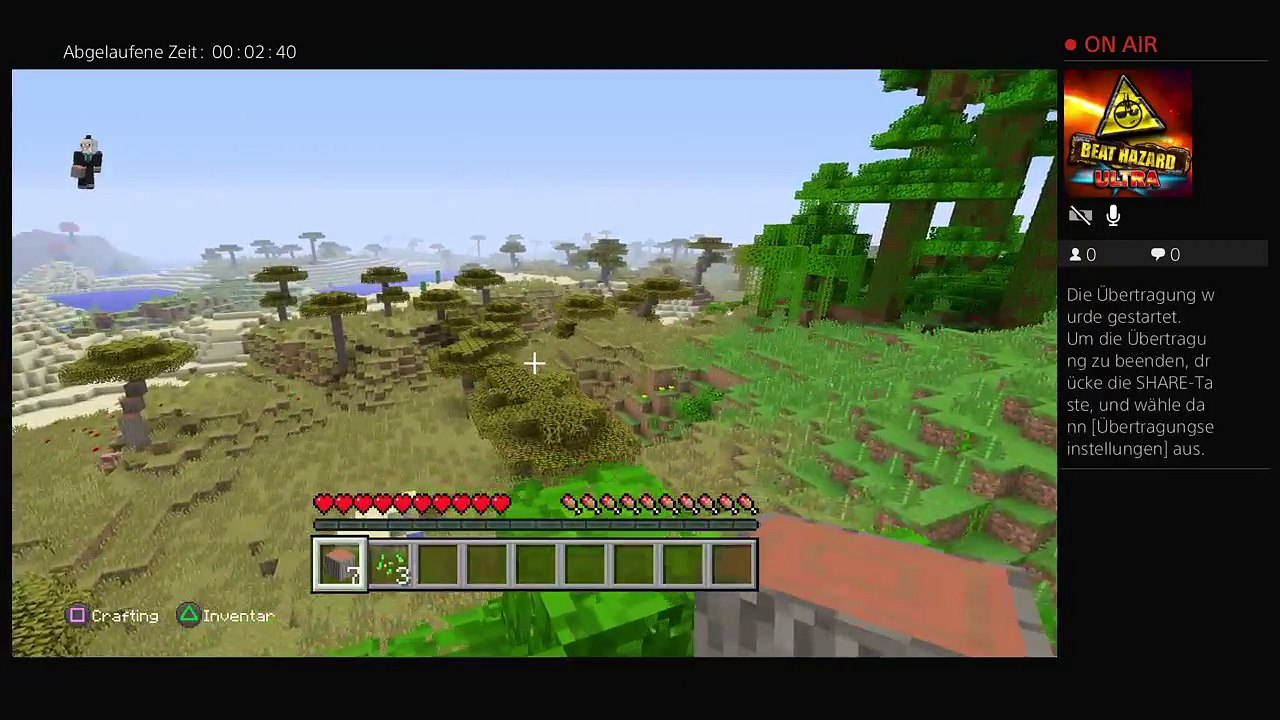 Minecraft survival (15)