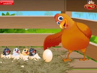 Thalla Kozhi (Hen) - Ammutti Malayalam Rhymes-JlbLiYAX4UY