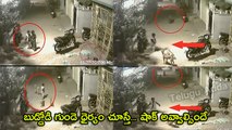 Brave Boy Fights with Dog to Save herself at Kukatpally