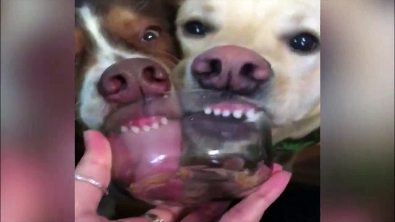 Quand tu partages ton pot de yaourt