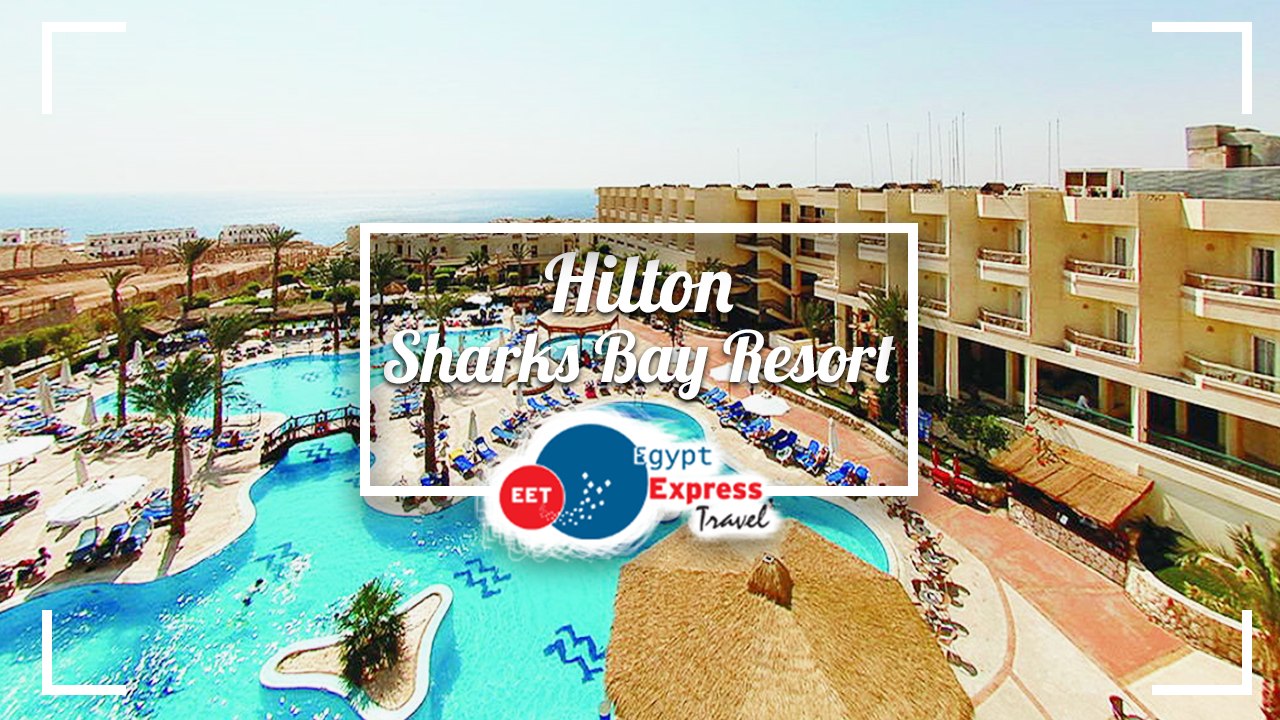Hilton Sharks Bay