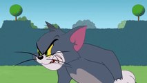 Tom & Jerry _ Ghost Sighting _ Boome