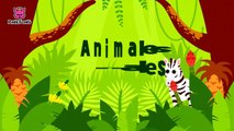 Animales, Animales _ Animales _ PINKFONG Canciones Infantiles-d9FQq3punJs