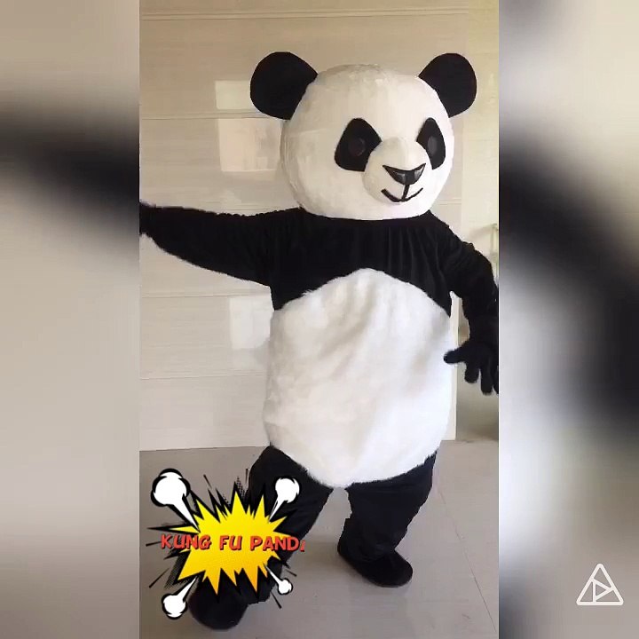Funny Kung Fu panda