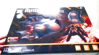GIANT SPIDER VIDEOS FOR KIDS I Spidertoys I Spider attack Toy Tarantula Unboxing
