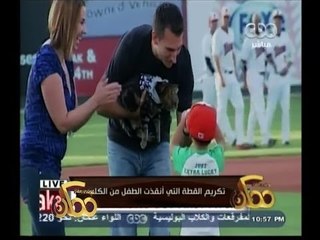 #ممكن | شاهد: تكريم القطة التي انقذت  الطفل من الكلب