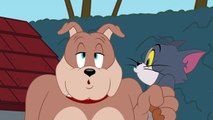 Tom & Jerry _ Ghost Sighting _ Boomer