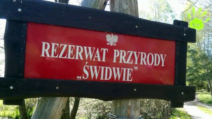 Rezerwat Przyrody "Świdwie"