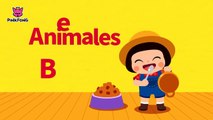 Animales Bebé _ Animales _ PINKFONG