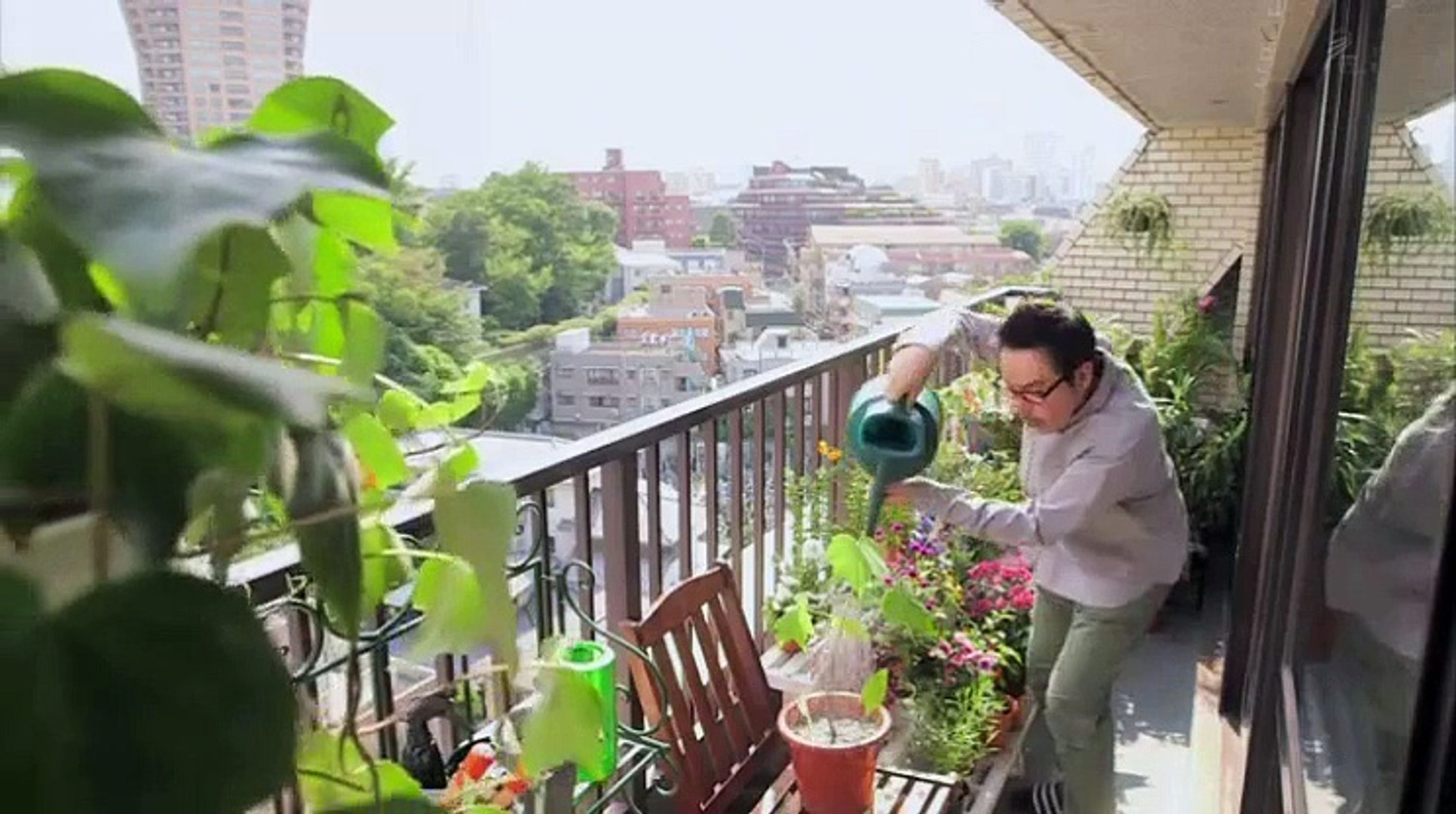 植物 男子