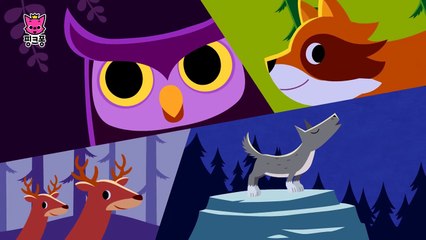 밤이 좋아 _ 동물동요 _ 핑크퐁! 인기동요-oP8h