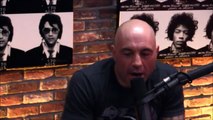 Joe Rogan and Gavin McInnes on Milo Yiannopoulos Controversy - Downloaded from youpak