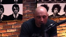 Joe Rogan and Gavin McInnes on Milo Yiannopoulos Controversy - Downloaded from youpa