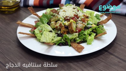 طريقة عمل سلطة سنتافيه الدجاج