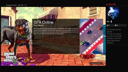 HYPED UP ON GTA5 LOL (27)