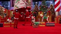 Olate Dogs - Dogs Do Flips and Perform Holiday Tricks - America's Got Talent 20