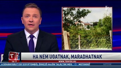Ha nem ugatnak, maradhatnak