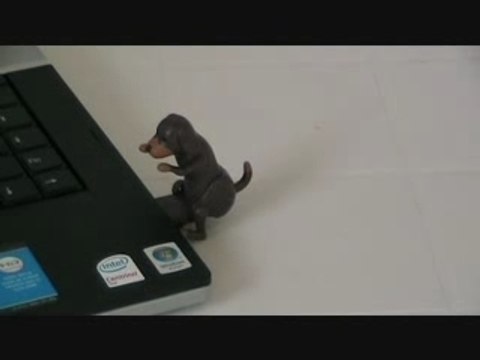 HUMPING DOG CHIEN USB