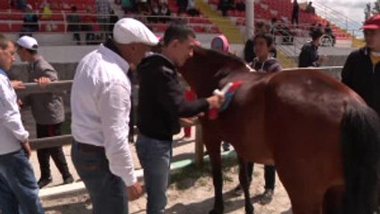 Engelliler "Atlı Terapi" Ile Öz Güven Kazanıyor