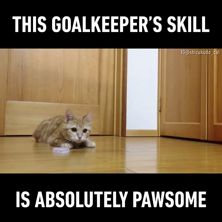 best goalkeeper ever :D