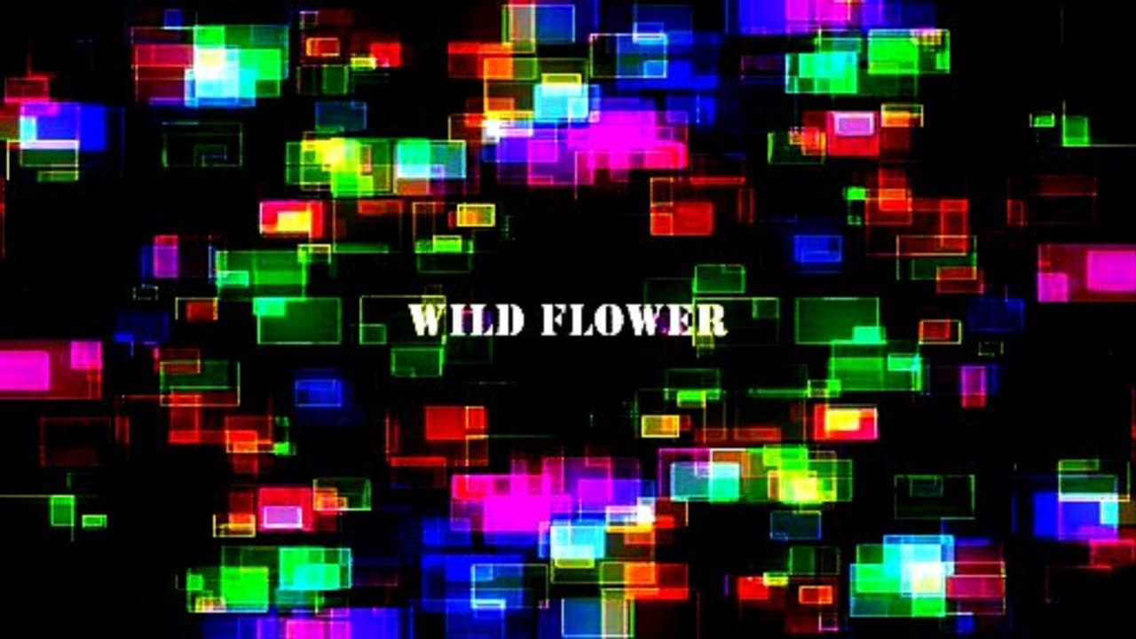 Wild flower- Joakim Karud