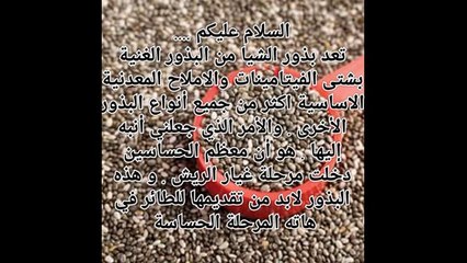 بذور الشيا وفوائدها للحسون ( المقنين . الميلي )